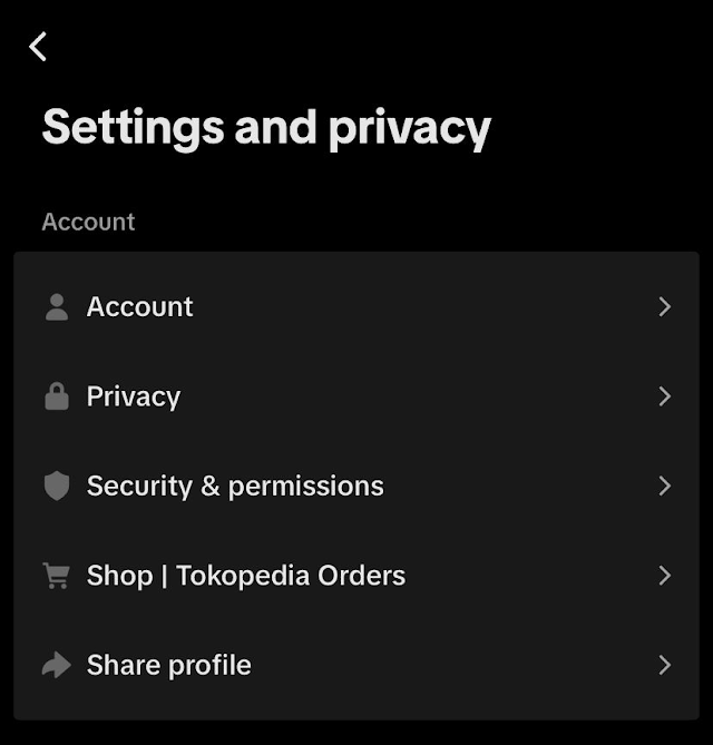 TikTok's Settings and privacy screen listing Account, Privacy and Security & permissions
