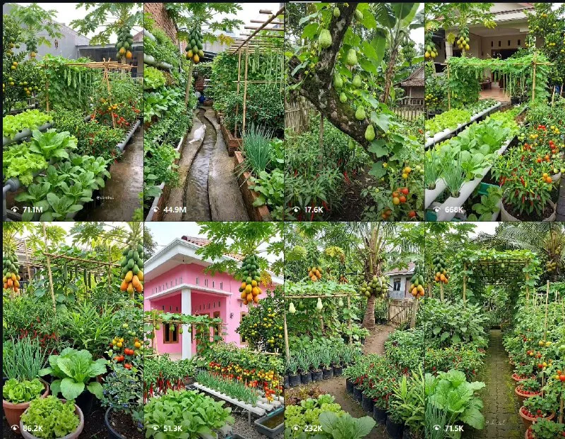 How to Make Garden Niche AI Video Ideas for Reels