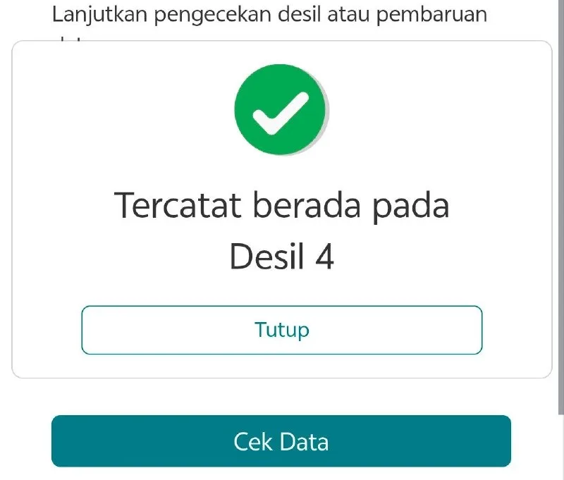 See Your Desil Group on Indonesia's BPS Form