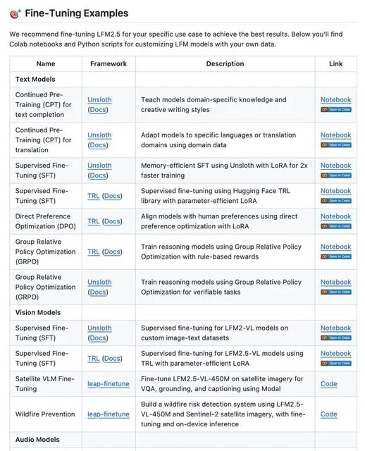 Liquid AI Cookbook: A Hidden Fine-Tuning Resource