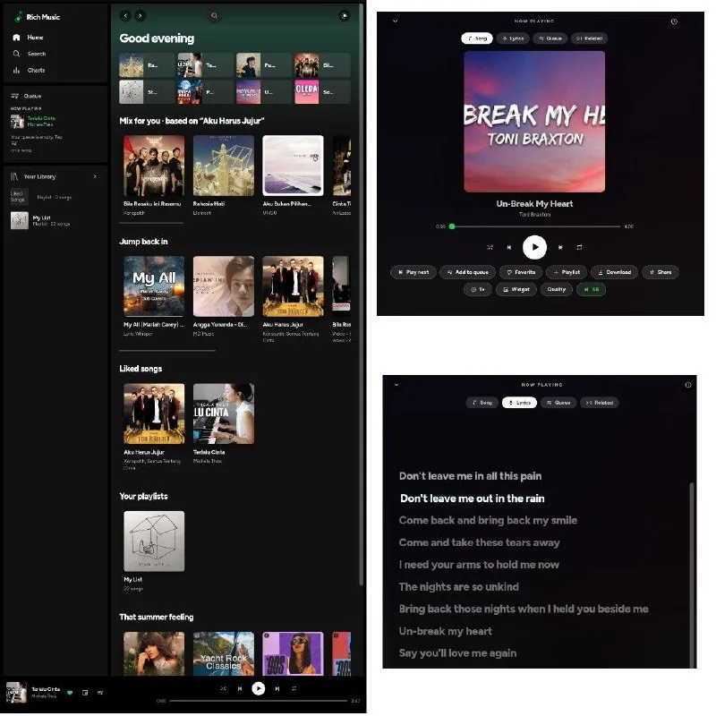 How to Get Free Ad-Free Music on Rich Music