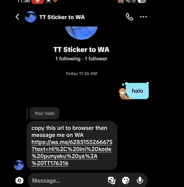 The bot replying with a wa.me link that contains a code
