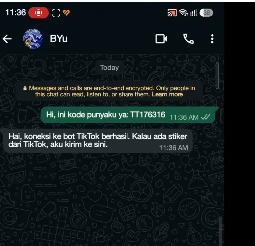 The WhatsApp bot confirming the link worked